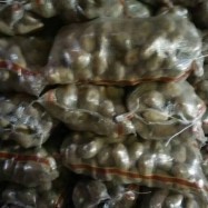 多倫土豆代收代銷與商品房代購(gòu)代銷服務(wù)解析