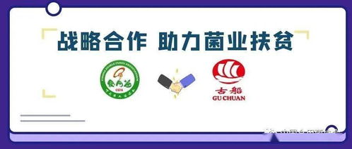 攜手古船米業，共筑貧困地區食用菌銷售與商品房代購代銷新篇章