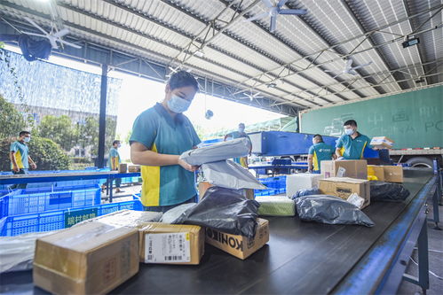 武義農(nóng)村電商 從“個(gè)富”到“共富”，商品房代購代銷開辟鄉(xiāng)村振興新路徑