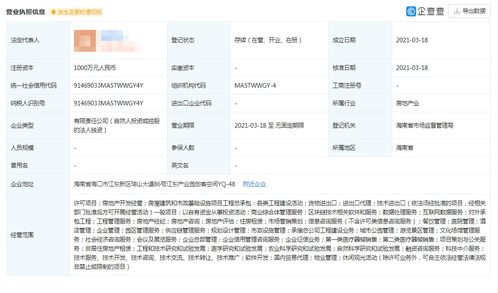 中創(chuàng)國遠控股公司 區(qū)塊鏈技術(shù)軟件與服務(wù)轉(zhuǎn)讓公告